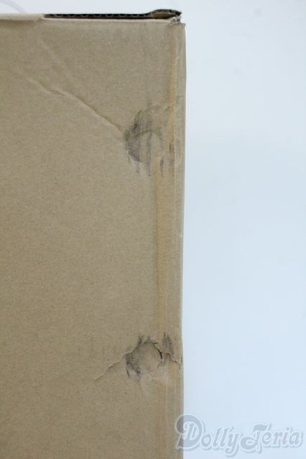 画像5: 1/3/家具 Y-25-05-07-136-YD-ZY (5)