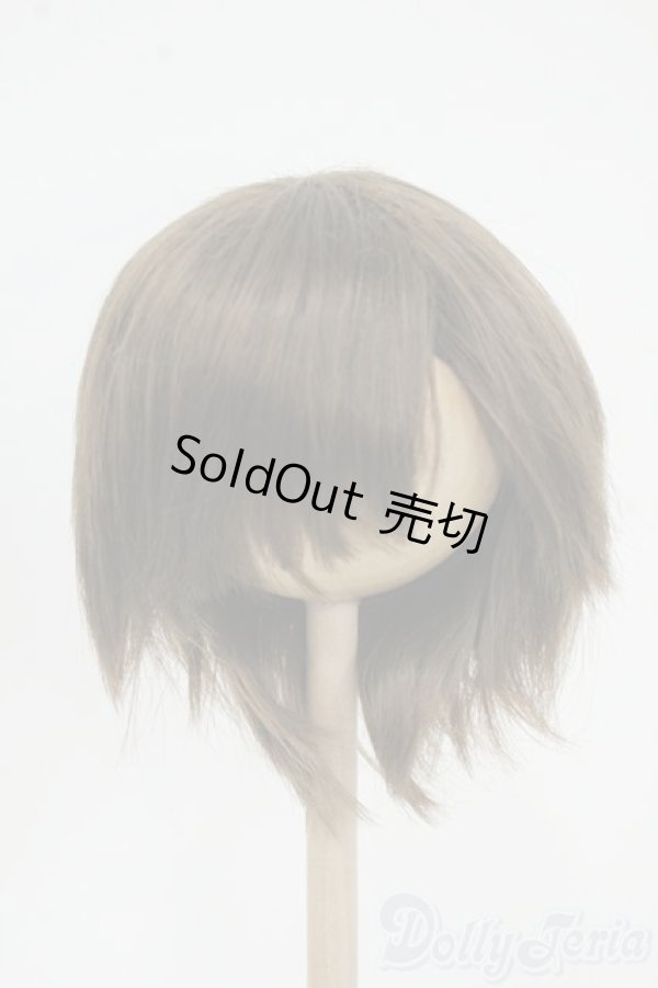 画像1: 8-9inch/ウィッグ Y-25-12-17-167-YD-ZY (1)