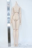 画像2: DD/ベースボディ Y-25-05-14-122-YD-ZY (2)