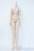 画像1: DD/ベースボディ Y-25-05-14-123-YD-ZY (1)
