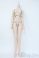 画像: DD/ベースボディ Y-25-05-14-123-YD-ZY