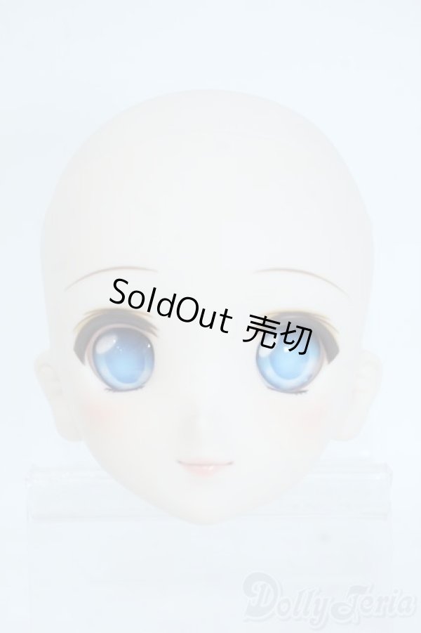 画像1: DD/DDH-06　ヘッド/ I-25-10-26-387-YD-ZI (1)