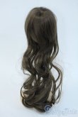 画像2: 9-10inch/ウィッグ Y-25-05-14-229-YD-ZY (2)