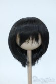 画像1: 9-10inch/ウィッグ Y-25-05-14-230-YD-ZY (1)