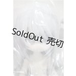 画像: 一万回の脱出計画BJD/オオカミ 狼 QUIET WILDERNESS/ A-25-07-23-272-YD-ZA