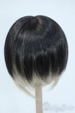 画像2: 8-9inch/ウィッグ Y-25-05-21-059-YD-ZY (2)
