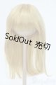画像: 9-10inch/ウィッグ Y-25-05-21-109-TN-ZY