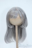 画像1: 8-9inch/ウィッグ Y-25-05-21-162-YD-ZY (1)