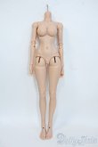 画像1: Gem of Doll/1/4 Windsor Body Ver.2 Y-25-05-28-073-YD-ZY (1)