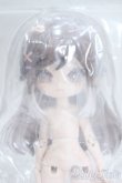 画像1: MINTY(ミンティ)/ファンタジーの森:ようよう Y-25-05-28-009-YD-ZY (1)
