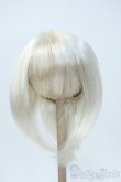 画像1: 9-10inch/ウィッグ Y-25-05-28-064-YD-ZY (1)