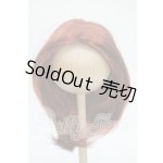 画像: 9-10inch/ウィッグ Y-26-04-29-288-YD-ZY