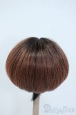 画像2: 9-10inch/ウィッグ Y-25-05-28-070-YD-ZY (2)