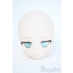 画像: DD/DDH-29:カスタムメイクヘッド Y-25-05-28-175-YD-ZY