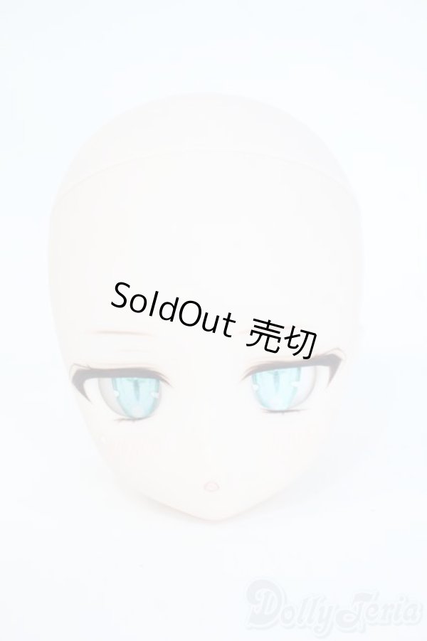 画像1: DD/DDH-29:カスタムメイクヘッド Y-25-11-26-172-YD-ZY (1)