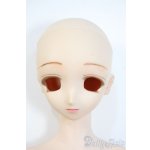画像: ＤＤボディ＆DDH-03ヘッド Y-25-05-28-169-YD-ZY