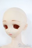 画像3: ＤＤボディ＆DDH-03ヘッド Y-25-05-28-169-YD-ZY (3)