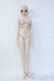 画像4: ＤＤボディ＆DDH-03ヘッド Y-25-05-28-169-YD-ZY (4)