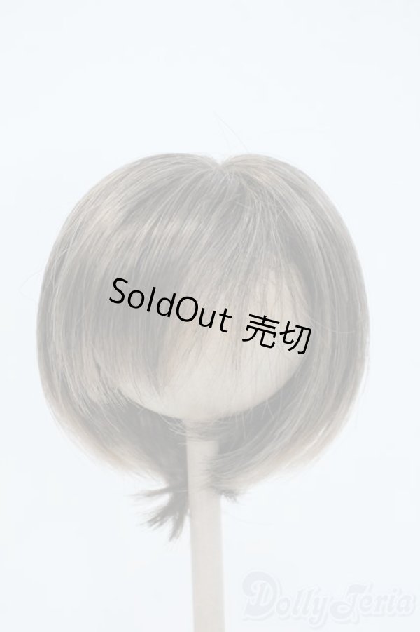 画像1: 9-10inch/ウィッグ Y-25-05-28-146-YD-ZY (1)