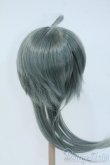 画像2: 8〜9inch/ウィッグ：みさんとるーぷ様製ウルフロング Y-25-06-04-006-YD-ZY (2)