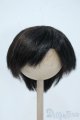 画像: 9-10inch/ウィッグ Y-25-06-04-062-YD-ZY