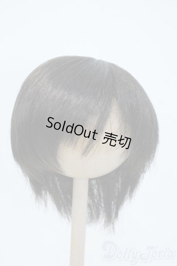 画像1: 9-10inch/ウィッグ Y-25-06-04-063-YD-ZY (1)