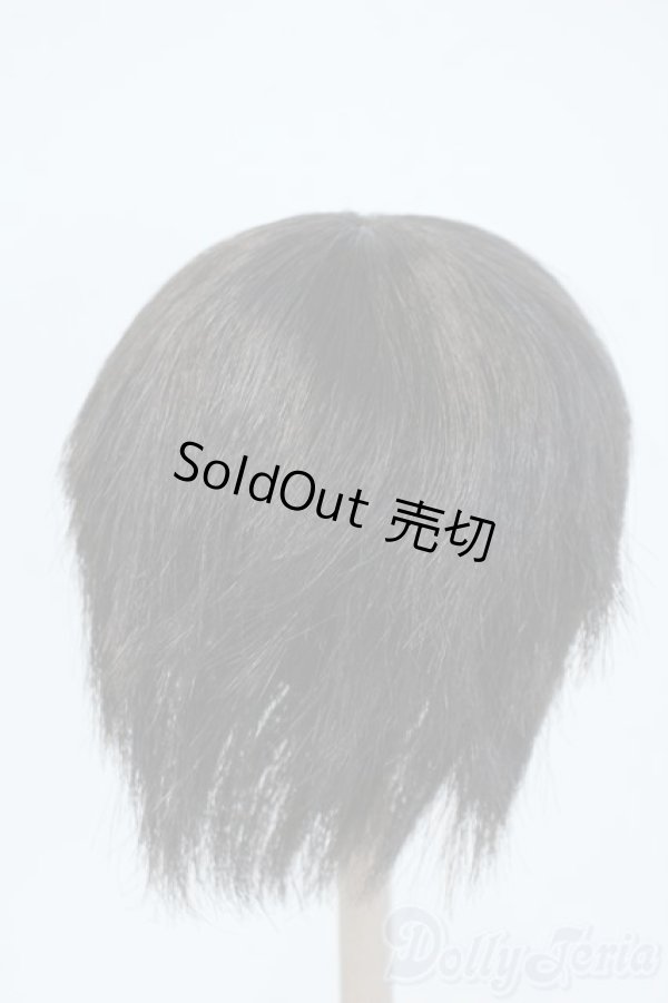 画像2: 9-10inch/ウィッグ Y-25-06-04-063-YD-ZY (2)