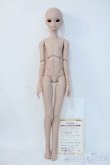画像4: DDB/DDH-26+男性ボディ Y-25-06-04-293-YD-ZY (4)