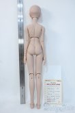 画像5: DDB/DDH-26+男性ボディ Y-25-06-04-293-YD-ZY (5)