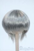 画像1: 6-7inch/ウィッグ Y-25-06-11-069-YD-ZY (1)