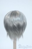 画像2: 6-7inch/ウィッグ Y-25-06-11-069-YD-ZY (2)