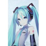 画像: DD /初音ミク Y-25-06-11-113-YD-ZY