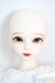 画像6: MYOUDOLL/Chelses Y-25-09-10-187-YD-ZY (6)