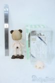 画像3: PUYOO DOLL/POCKET KUMAKO Y-25-06-11-122-YD-ZY (3)