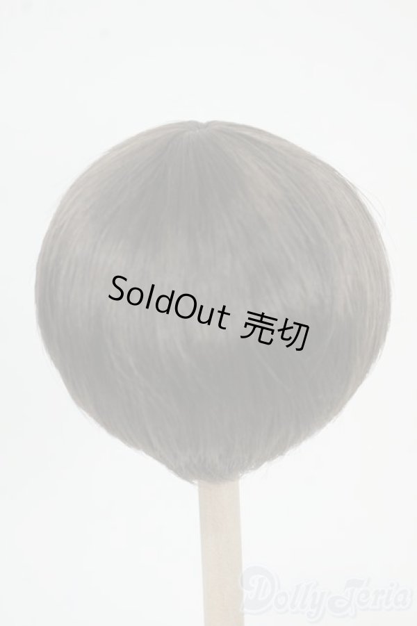 画像2: 8inch/ウィッグ Y-25-12-17-170-YD-ZY (2)