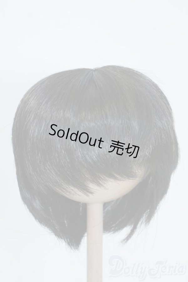 画像1: 8-9inch/ウィッグ Y-25-06-18-144-YD-ZY (1)