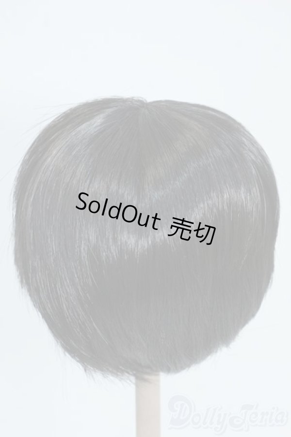 画像2: 8-9inch/ウィッグ Y-25-06-18-144-YD-ZY (2)