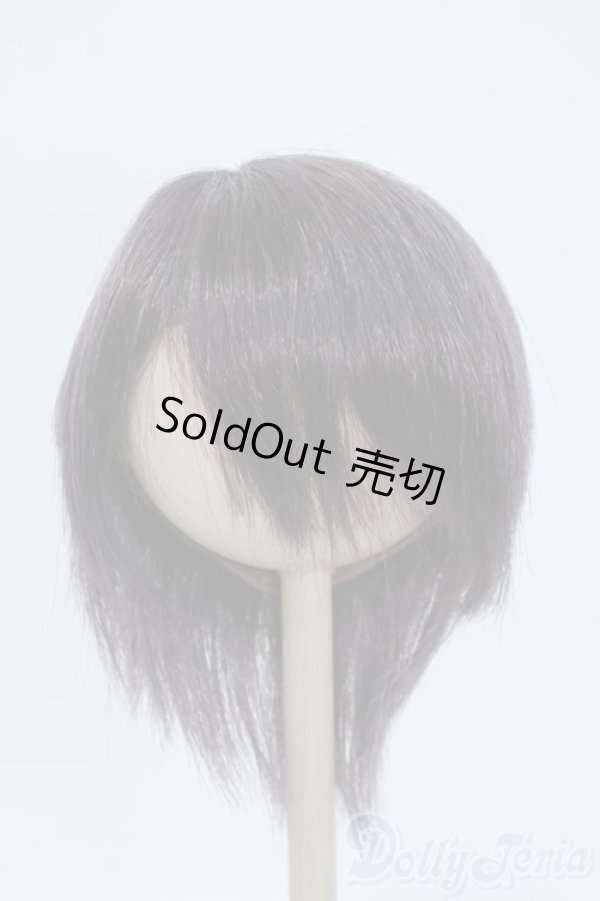 画像1: 8-9inch/ウィッグ Y-25-06-25-077-YD-ZY (1)