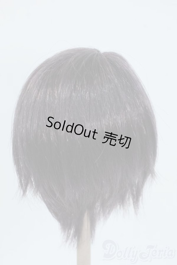 画像2: 8-9inch/ウィッグ Y-25-06-25-077-YD-ZY (2)