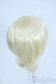 画像2: 4.5inch/ウィッグ Y-25-06-25-207-YD-ZY (2)