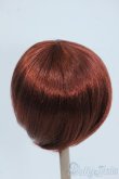 画像2: 9-10inch/ウィッグ Y-25-06-25-082-YD-ZY (2)