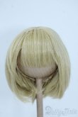 画像1: 9-10inch/ウィッグ Y-25-06-25-261-YD-ZY (1)