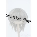 画像: 8-9inch/ウィッグ Y-25-07-02-019-YD-ZY