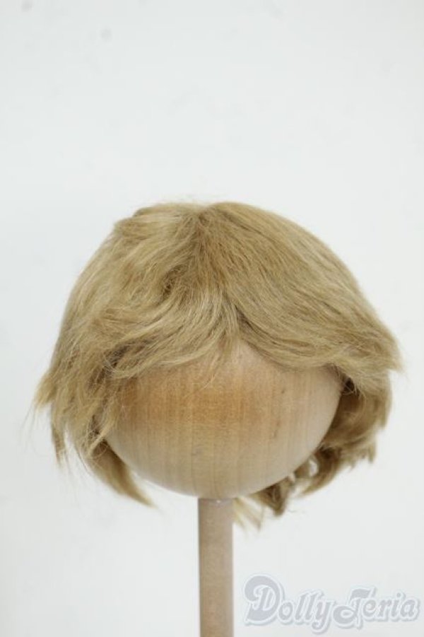 画像1: 8-9inch/ウィッグ Y-25-12-17-185-YD-ZY (1)