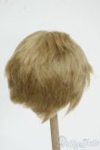 画像2: 8-9inch/ウィッグ Y-25-12-17-185-YD-ZY (2)
