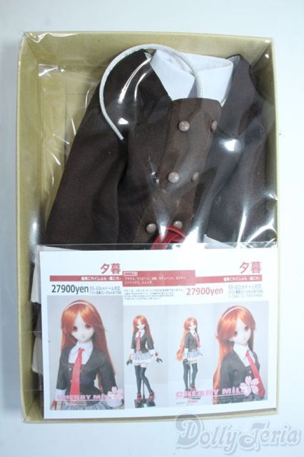 画像1: DD/OF：ドレスセット(CHERRYMILK様製) Y-25-07-02-042-YD-ZY (1)