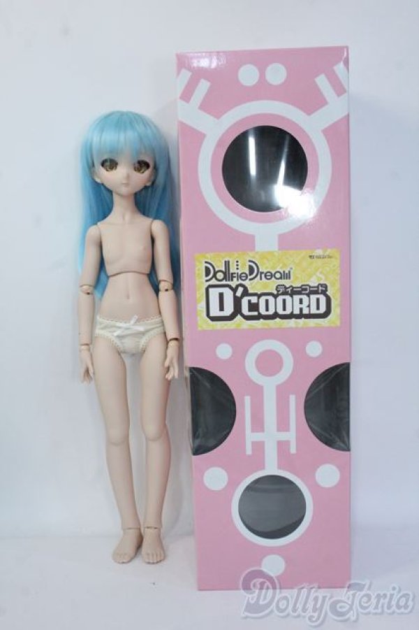 画像6: MDD/Ｄ'COORD Y-25-07-02-212-KD-ZY (6)