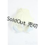 画像: 一万回の脱出計画/ヒョウ Y-25-07-09-027-YD-ZY