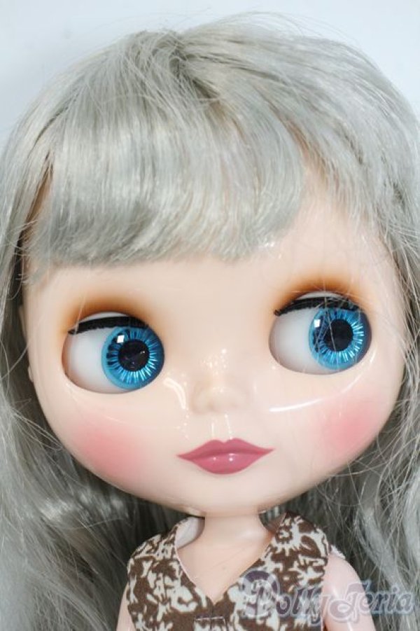 画像1: ネオブライス/アイルロファイルスタイル Y-25-07-09-079-YD-ZY (1)