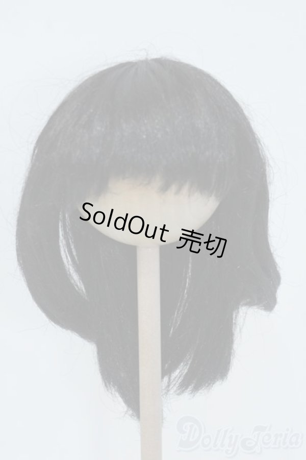 画像1: 8-9inch/ウィッグ Y-25-07-09-125-YD-ZY (1)